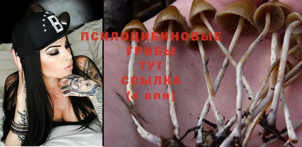 MDMA Premium VHQ Верхний Тагил
