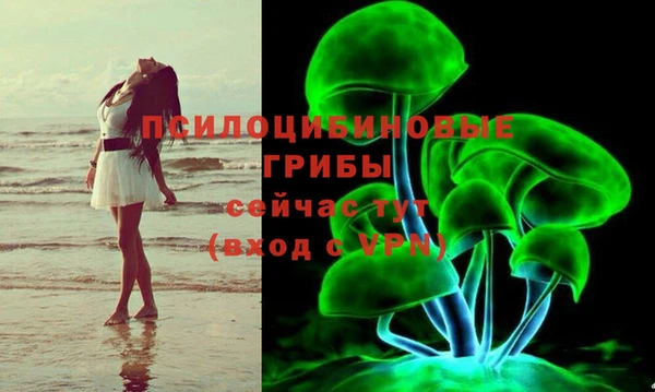 не бодяженный Волоколамск