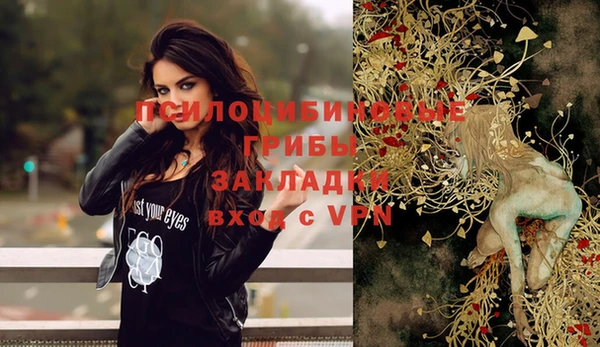 тгк Волосово