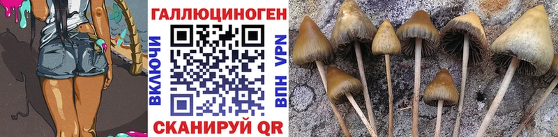 продажа наркотиков Приволжский Галлюциногенные грибы MAGIC MUSHROOMS